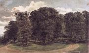 John glover The copse oil on canvas